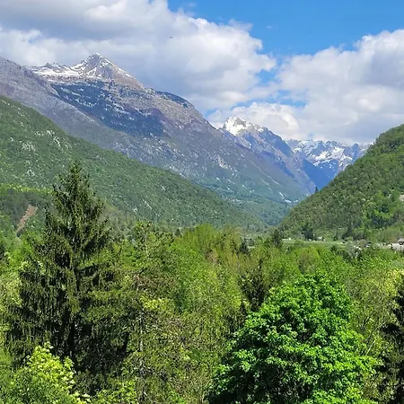 Apartment Julian Zaga